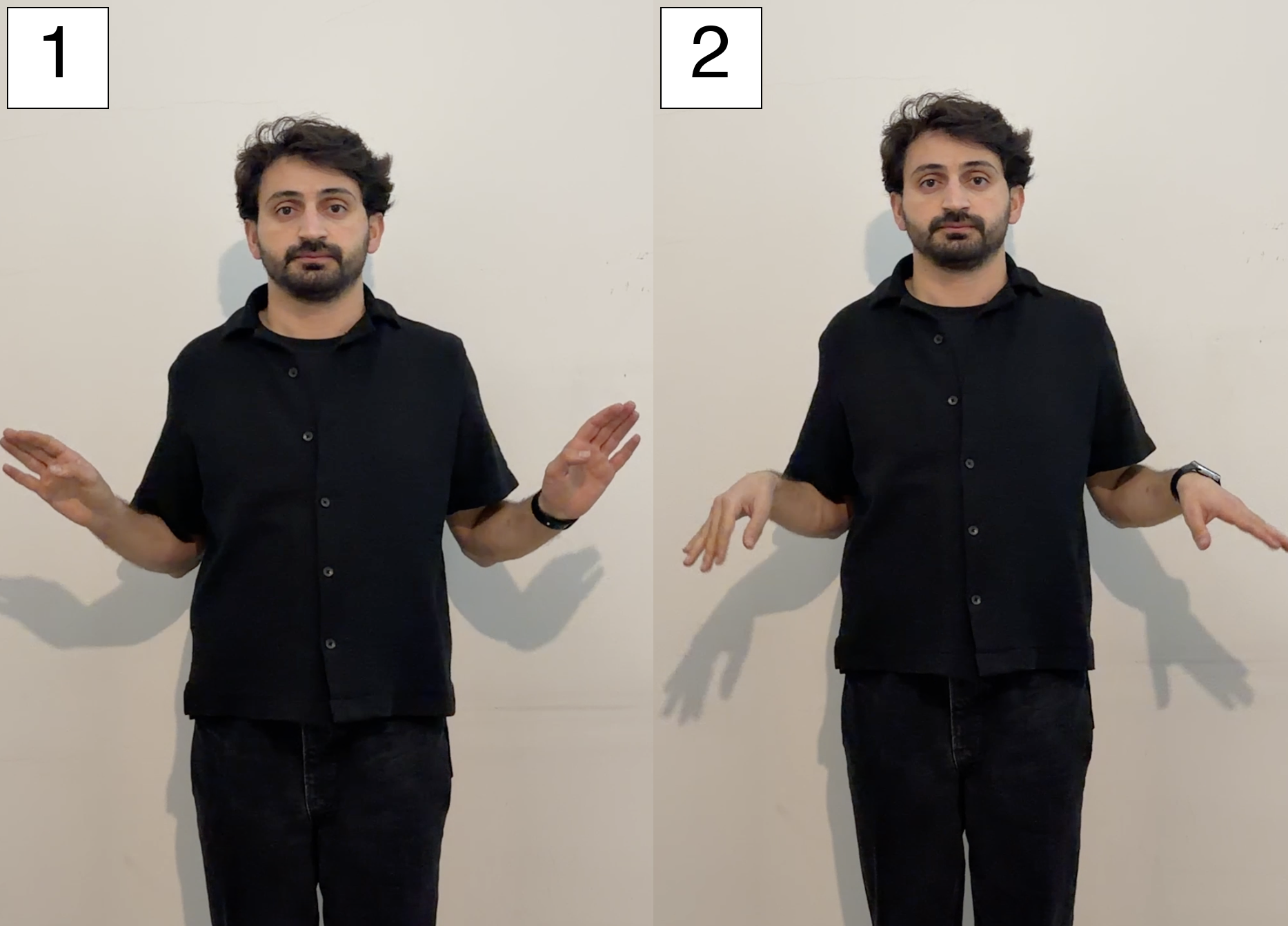Türk İşaret Dili'nde kuş hayvan işareti — işaret dilinde hayvanlar