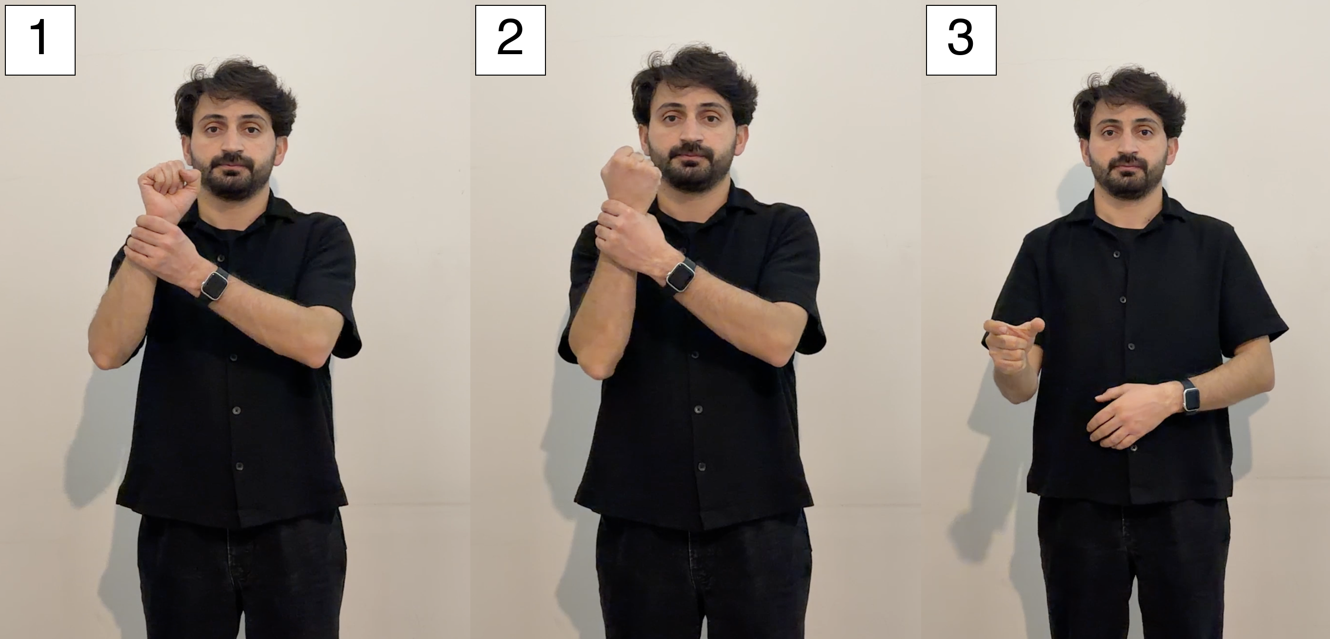 Türk İşaret Dili'nde sanatçı işareti — sahne